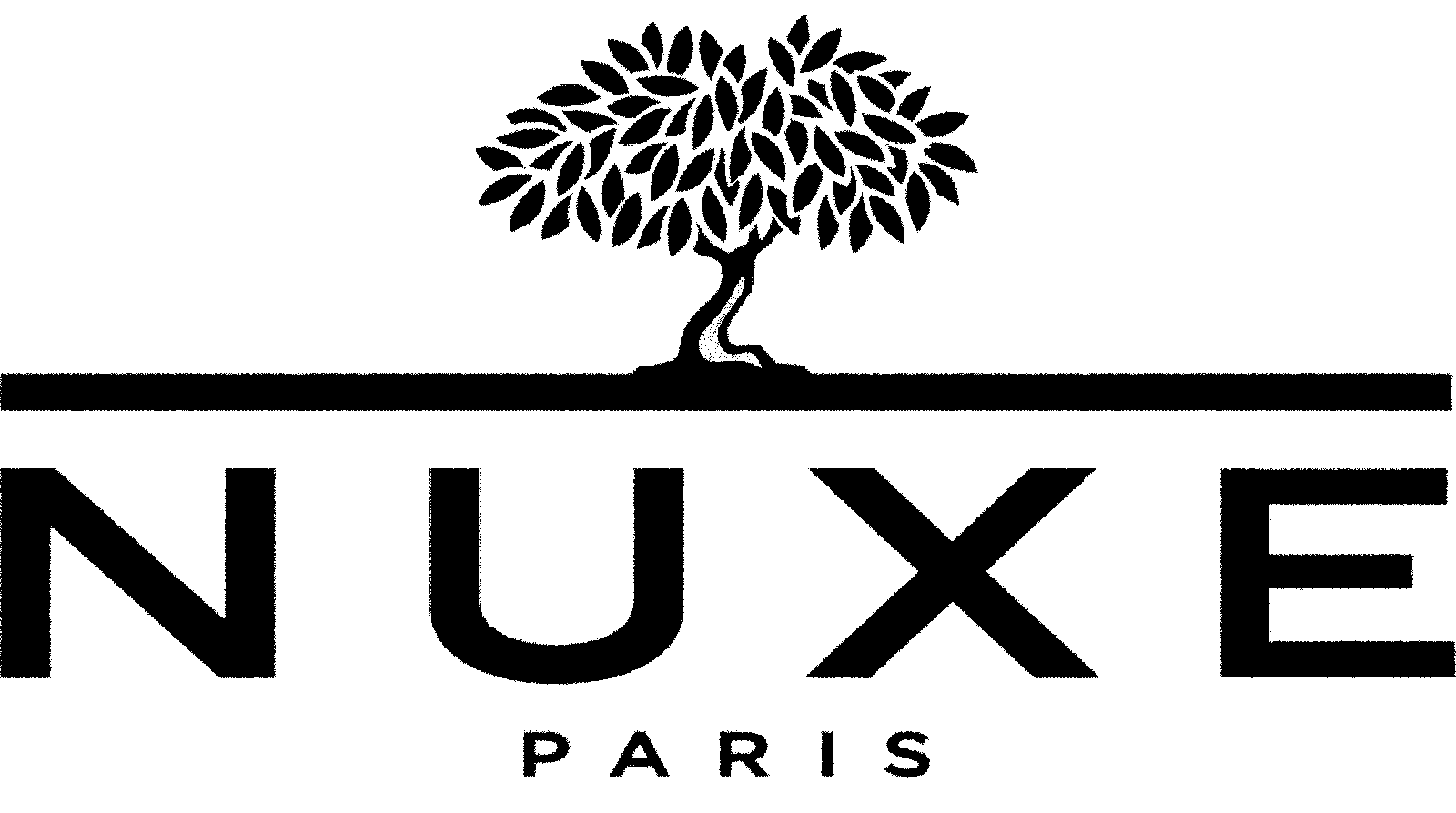 Nuxe logo bits